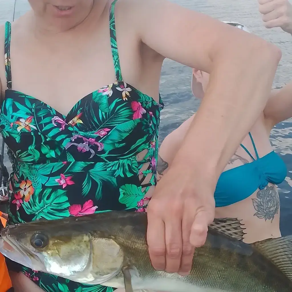 Фото из публикации 1