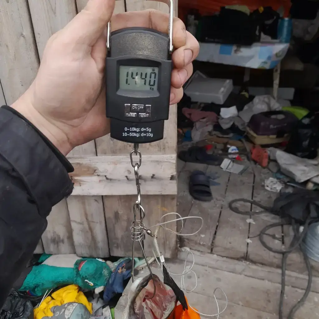 Фото из публикации 2