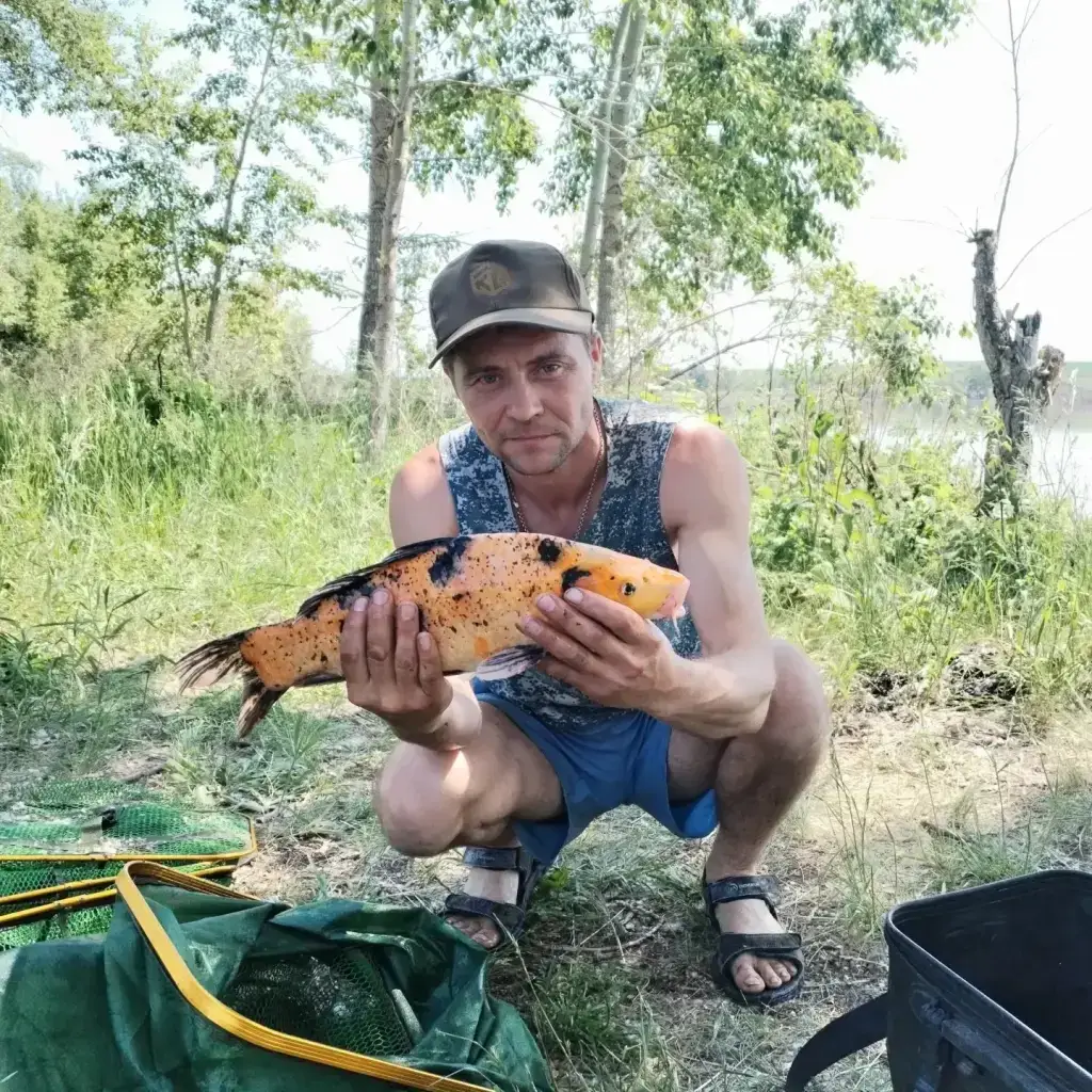 Фото из публикации 2