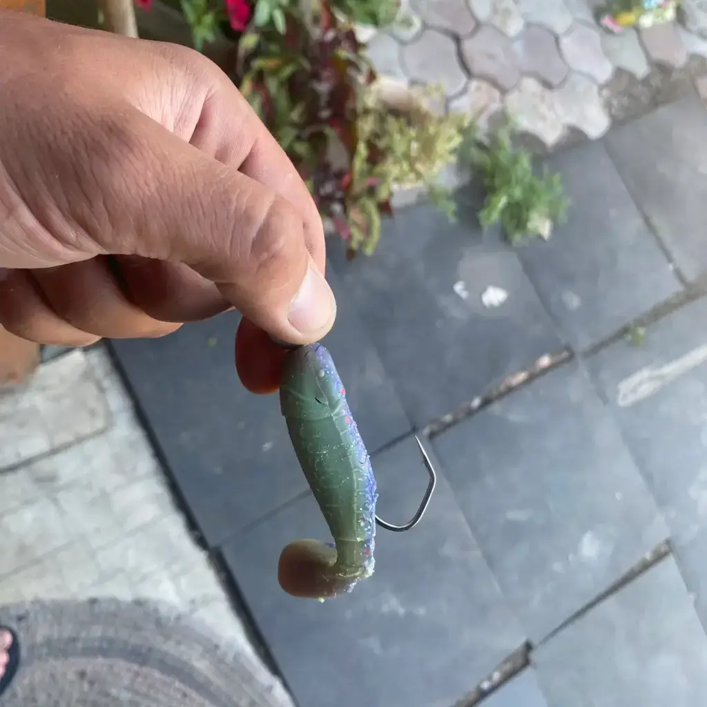 Фото из публикации 3