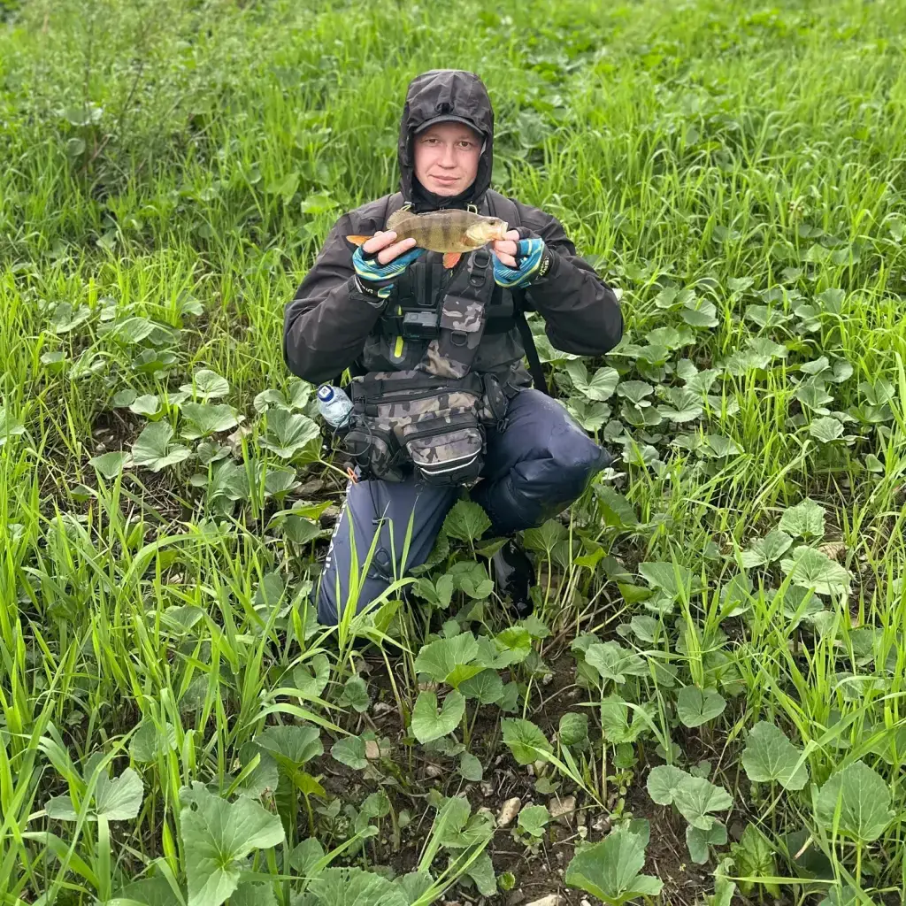 Фото из публикации 1
