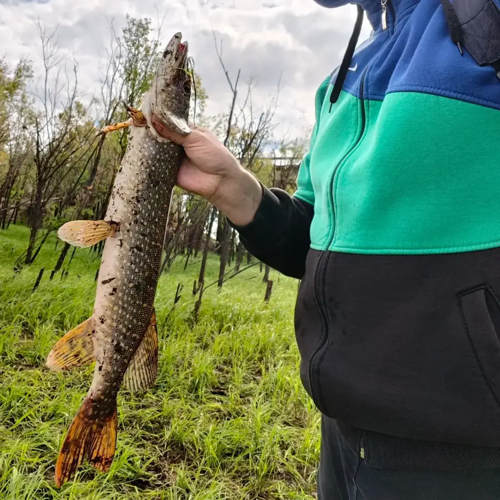 Фото из публикации 2