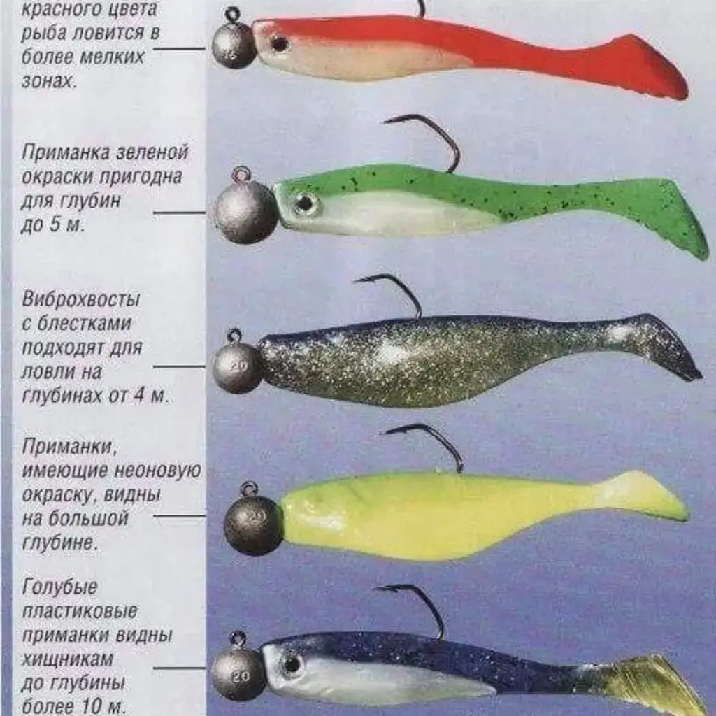 Фото из публикации 2