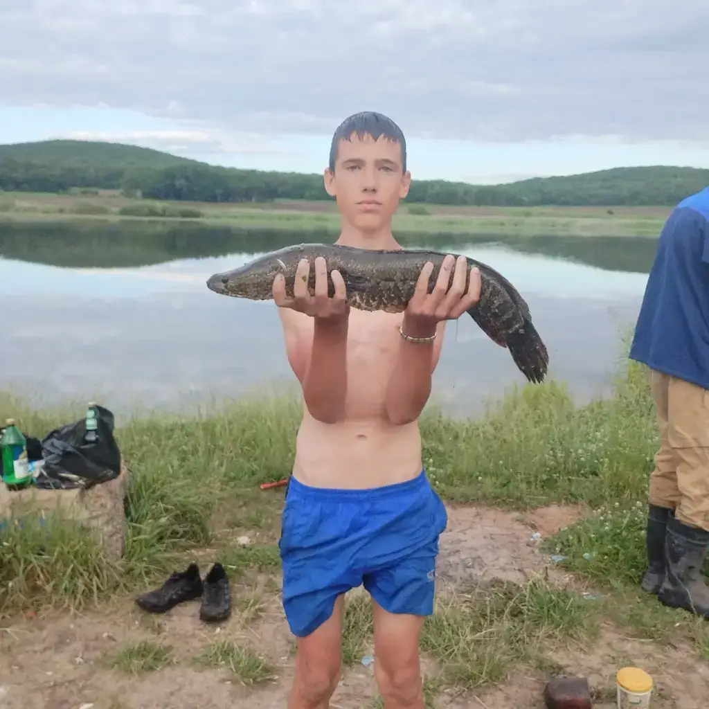 Фото из публикации 2