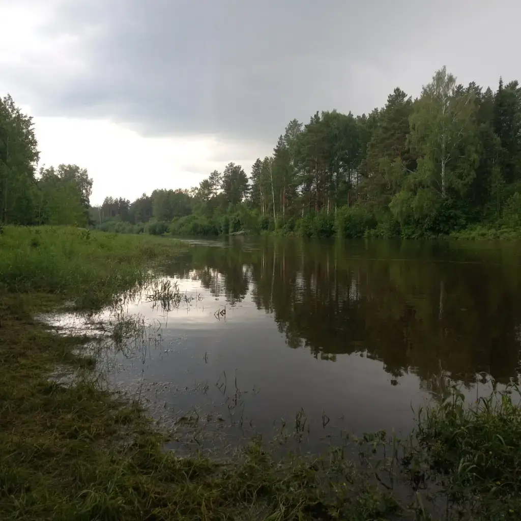 Фото из публикации 3