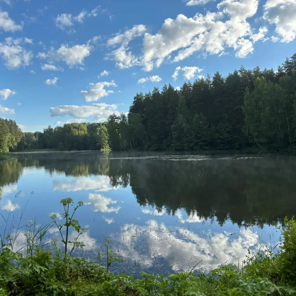 Фото из публикации 1