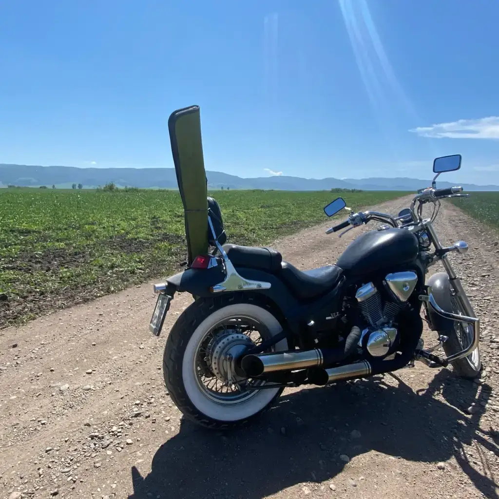 Фото из публикации 2