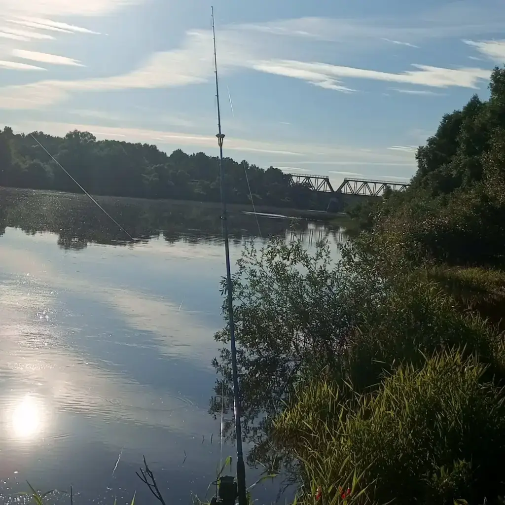 Фото из публикации 3