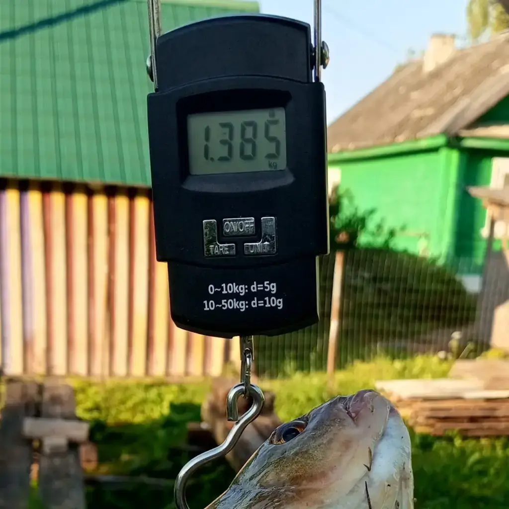 Фото из публикации 4