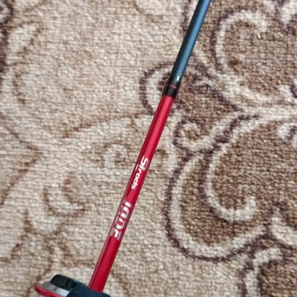 Фото из публикации 3