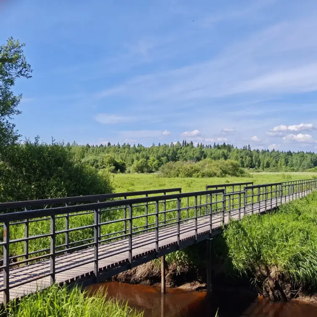 Фото из публикации 3