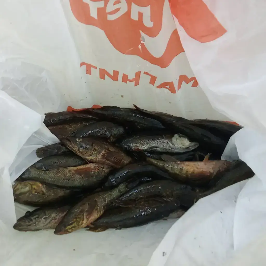 Фото из публикации 3
