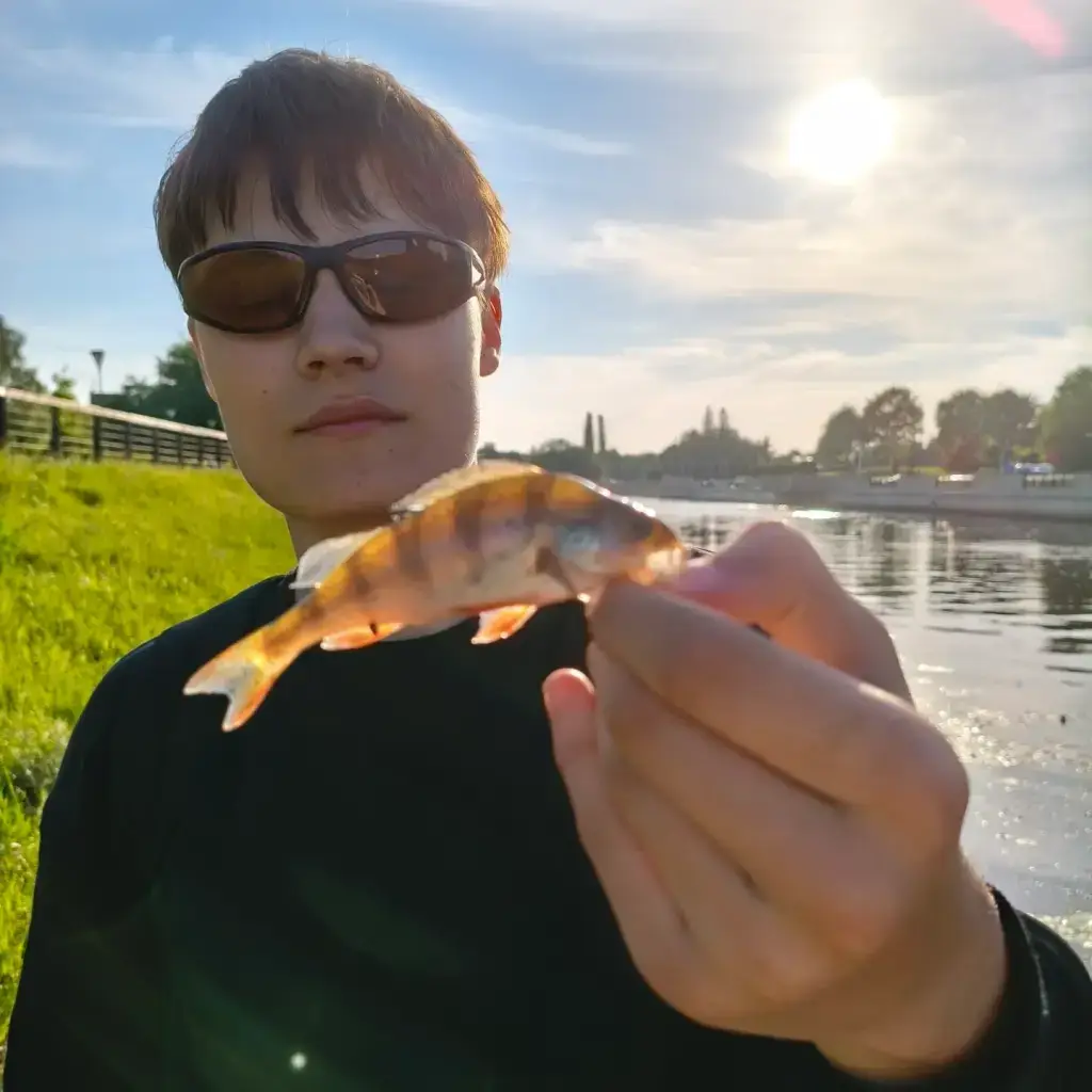 Фото из публикации 3