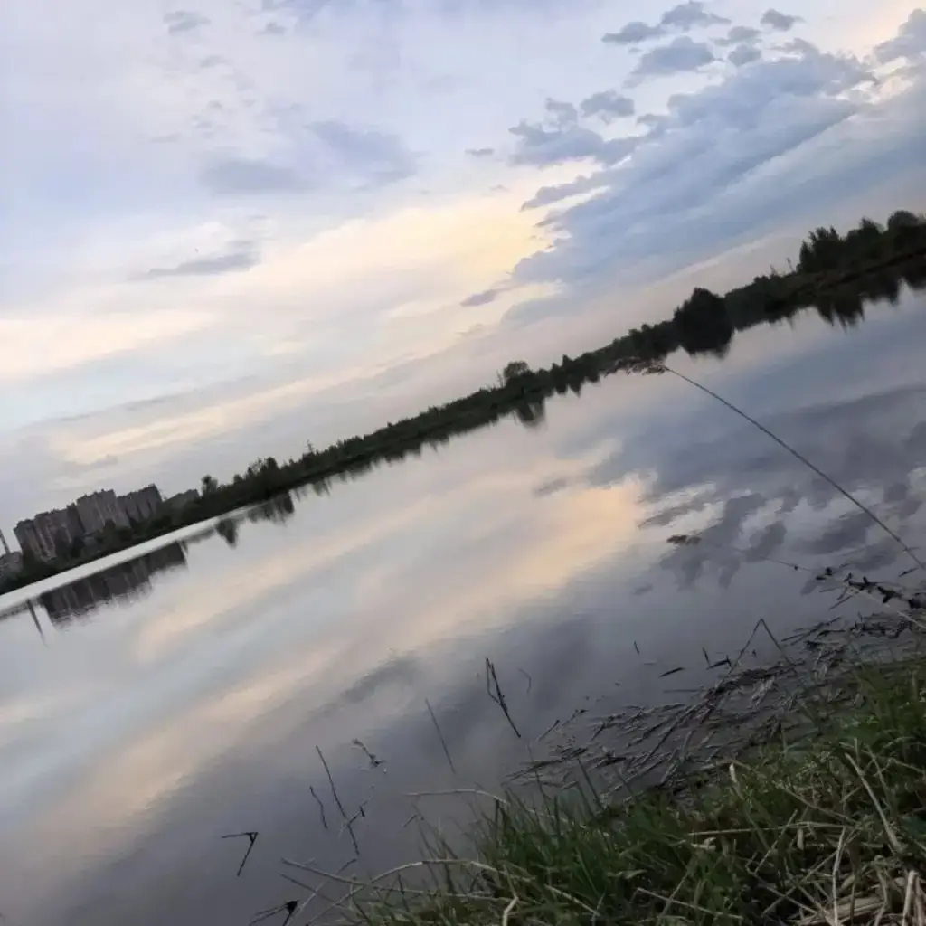 Фото из публикации 3