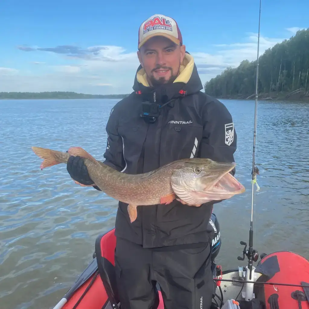 Фото из публикации 1