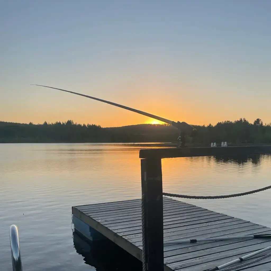 Фото из публикации 2
