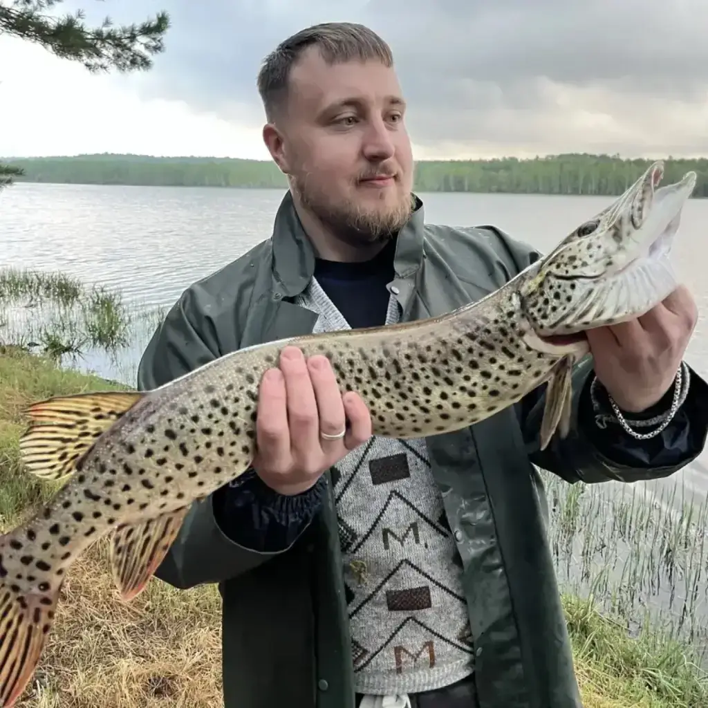 Фото из публикации 1