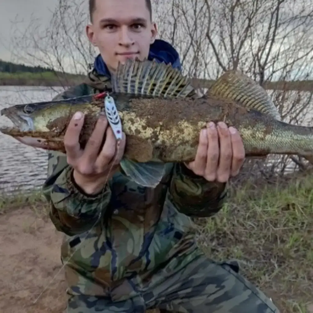 Фото из публикации 3