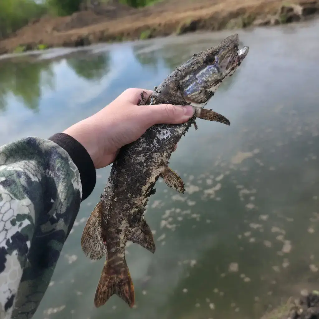 Фото из публикации 4