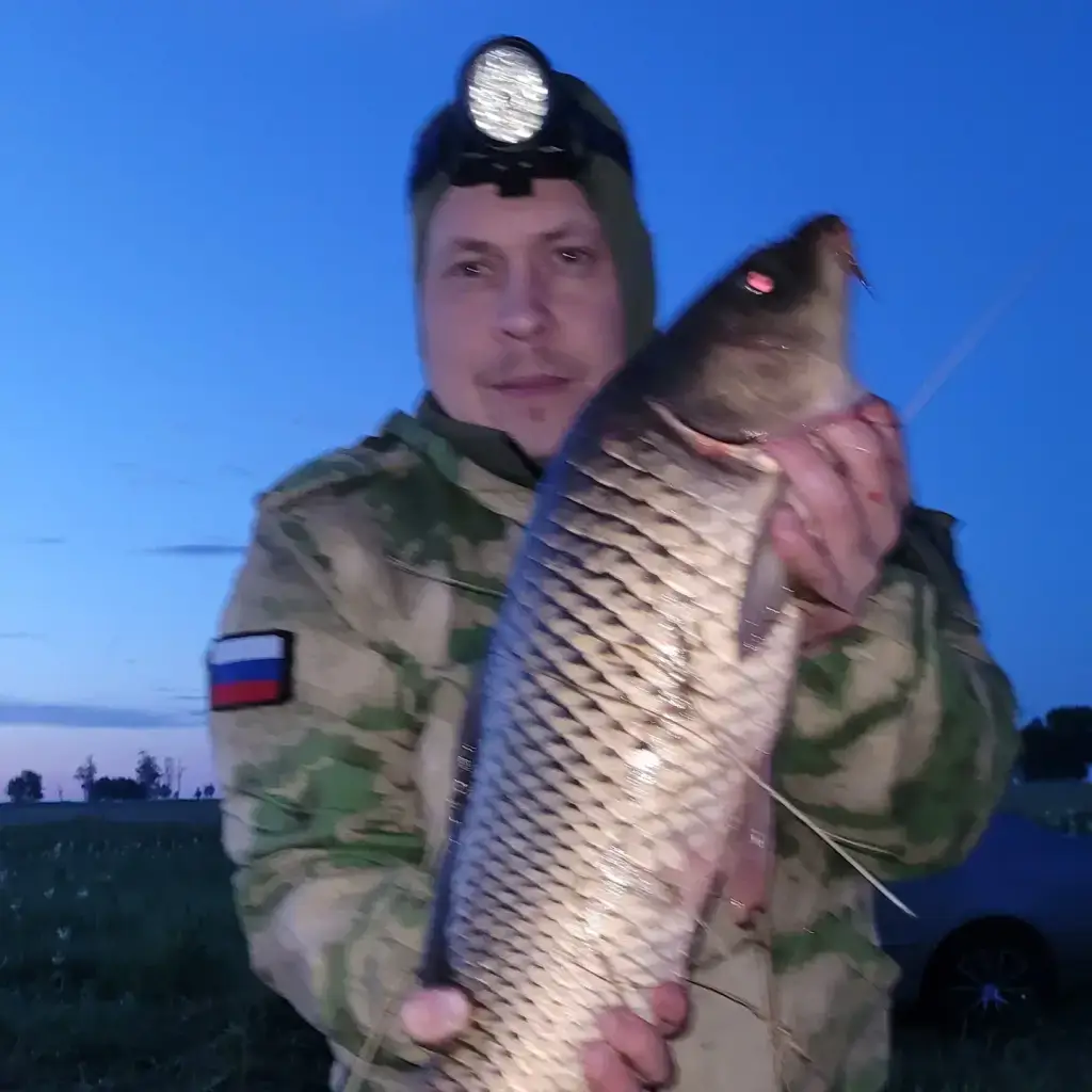 Фото из публикации 1