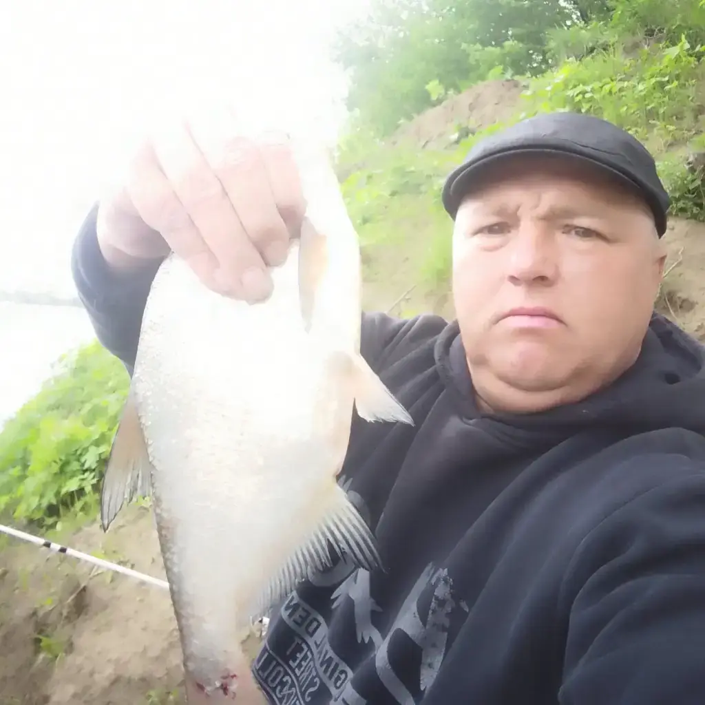Фото из публикации 2