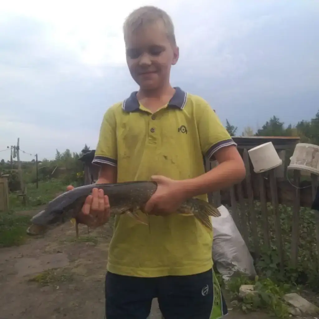 Фото из публикации 1