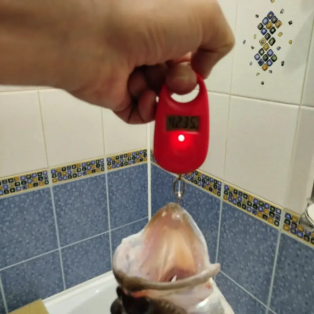 Фото из публикации 2