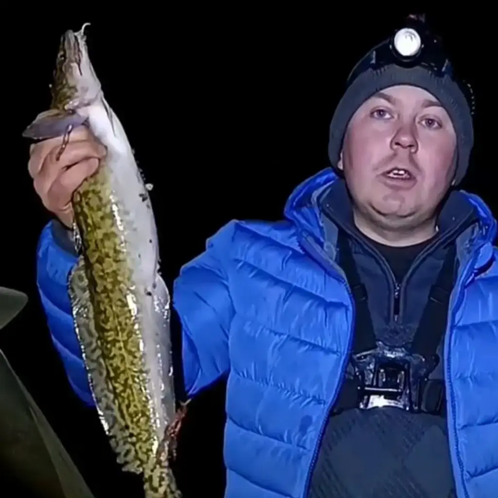 Фото из публикации 1