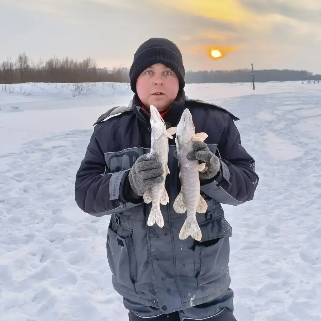 Фото из публикации 1