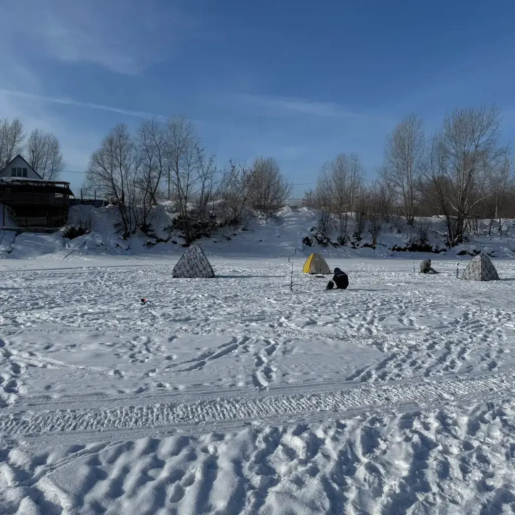 Фото из публикации 3