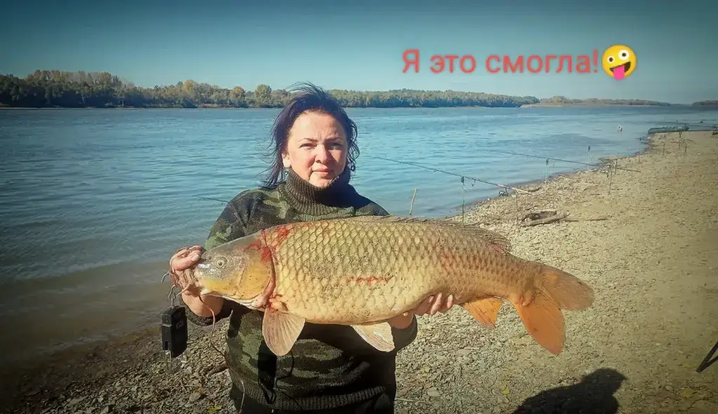 Фото из публикации 1