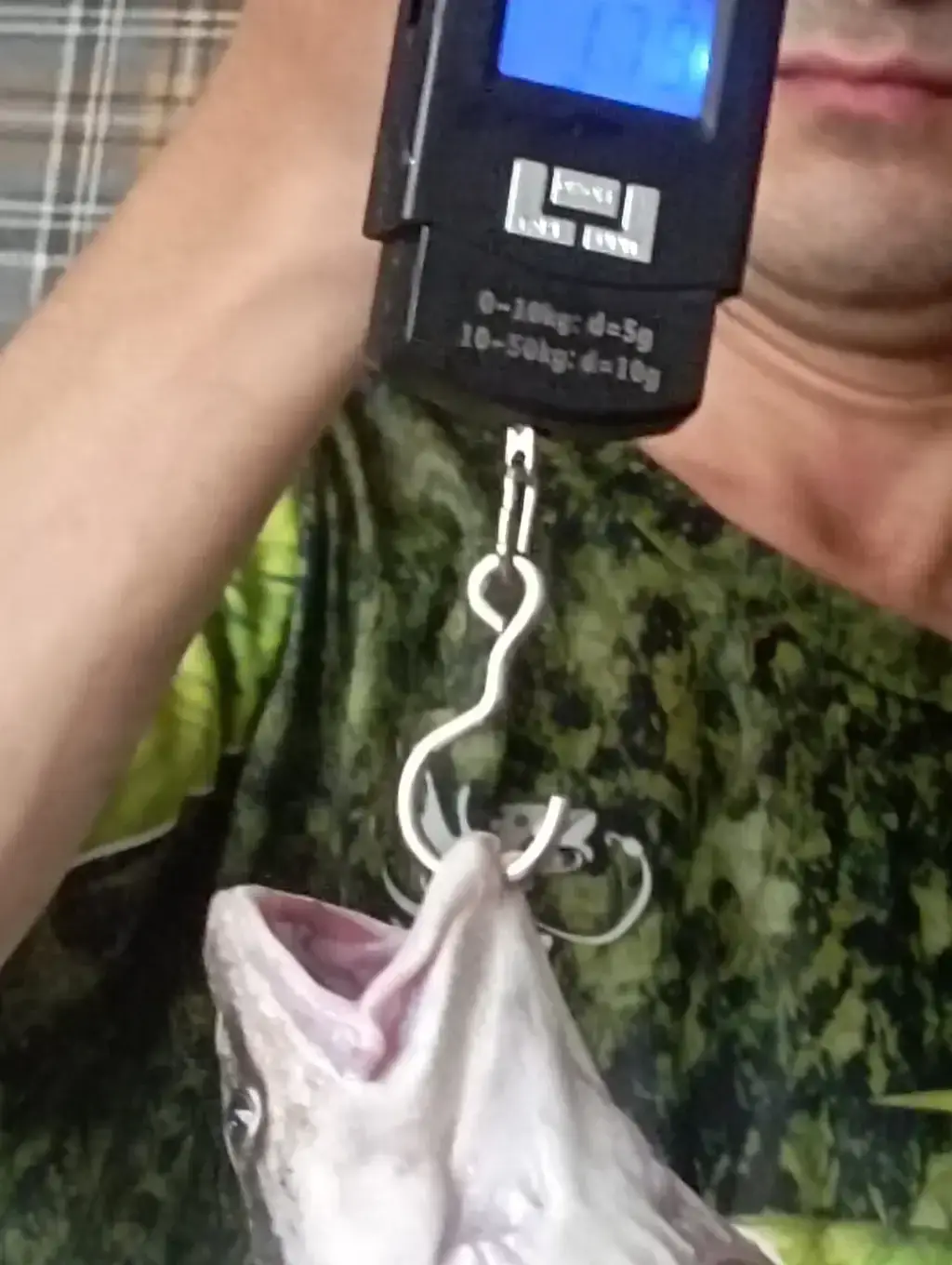 Фото из публикации 1