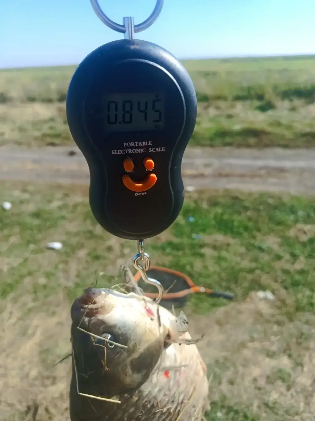 Фото из публикации 1