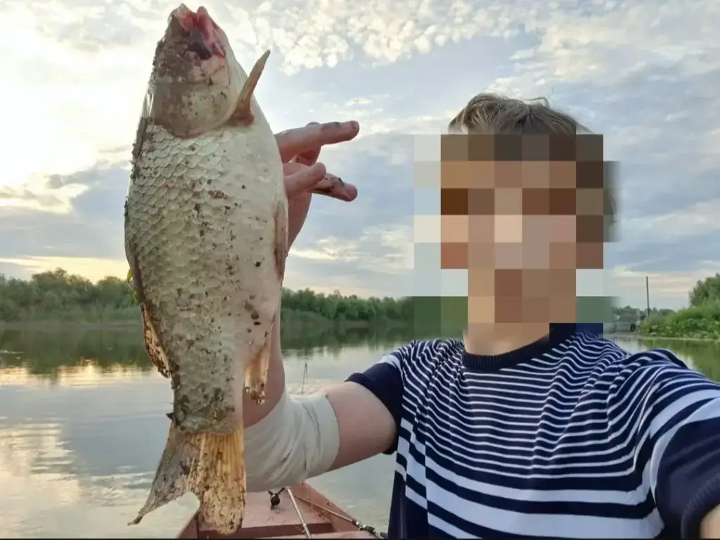 Фото из публикации 1