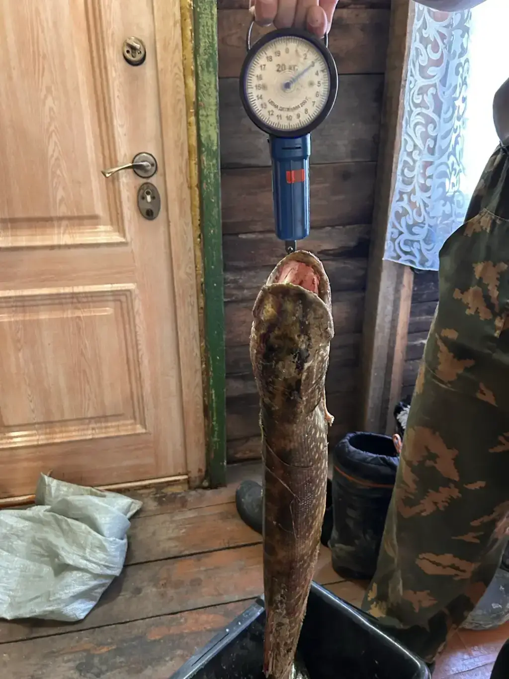 Фото из публикации 1