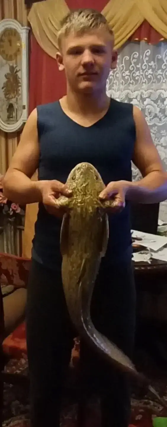 Фото из публикации 1