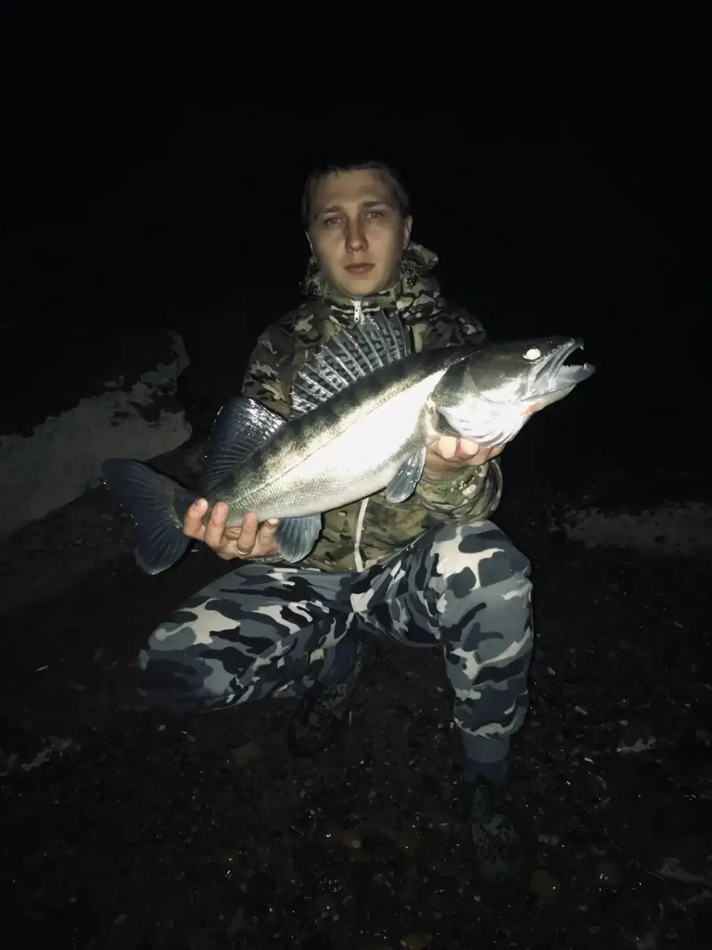 Фото из публикации 1