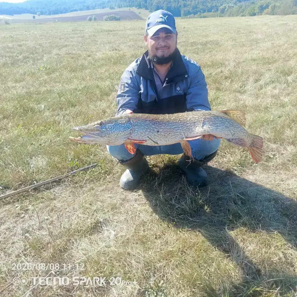 Фото из публикации 1