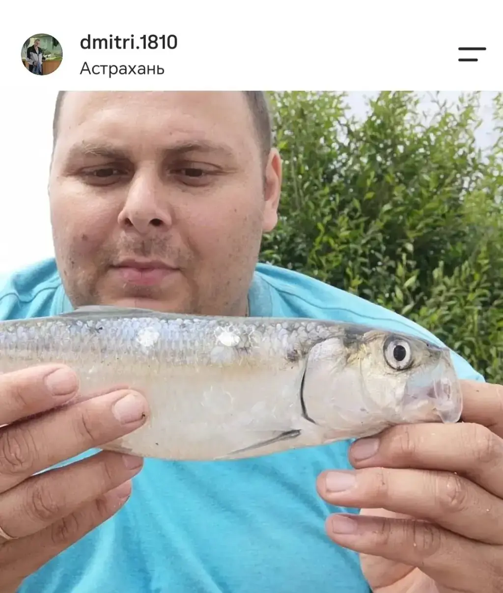 Фото из публикации 1