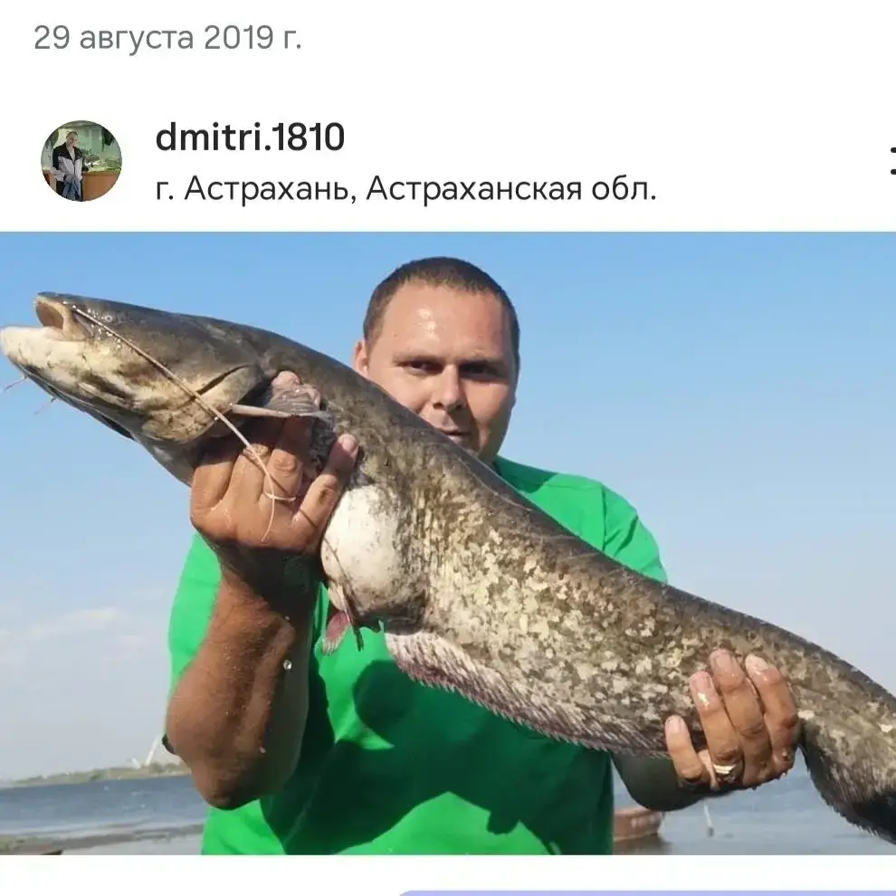 Фото из публикации 1