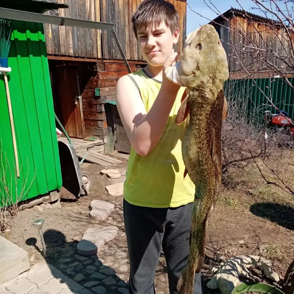 Фото из публикации 1