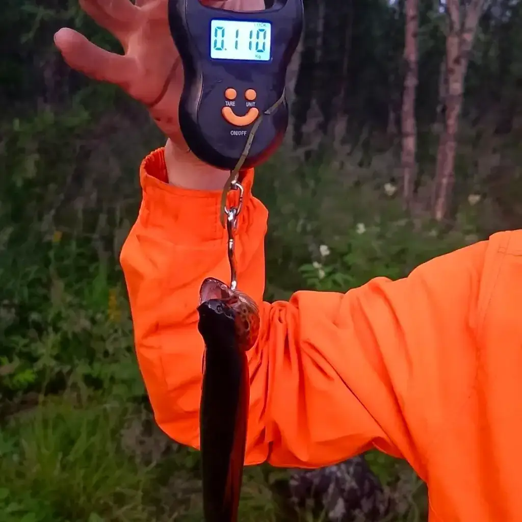 Фото из публикации 1