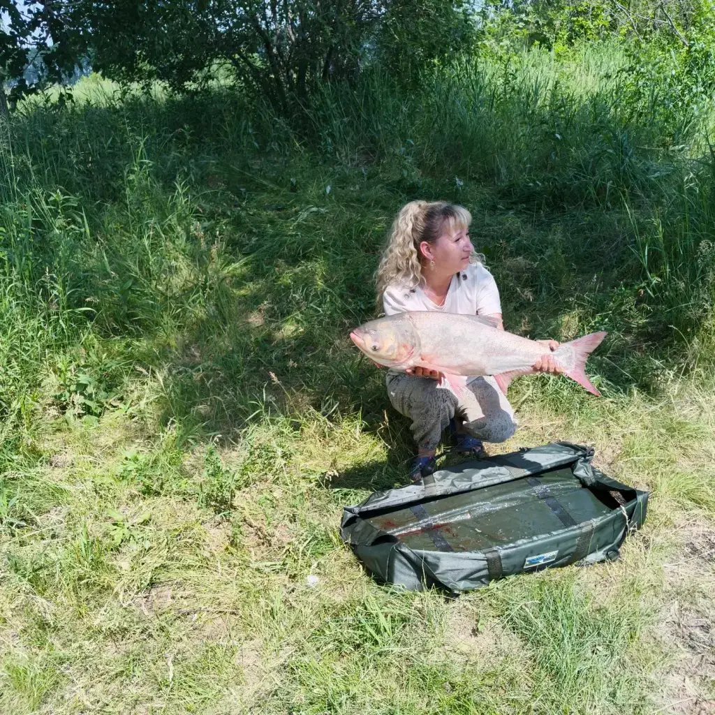 Фото из публикации 1