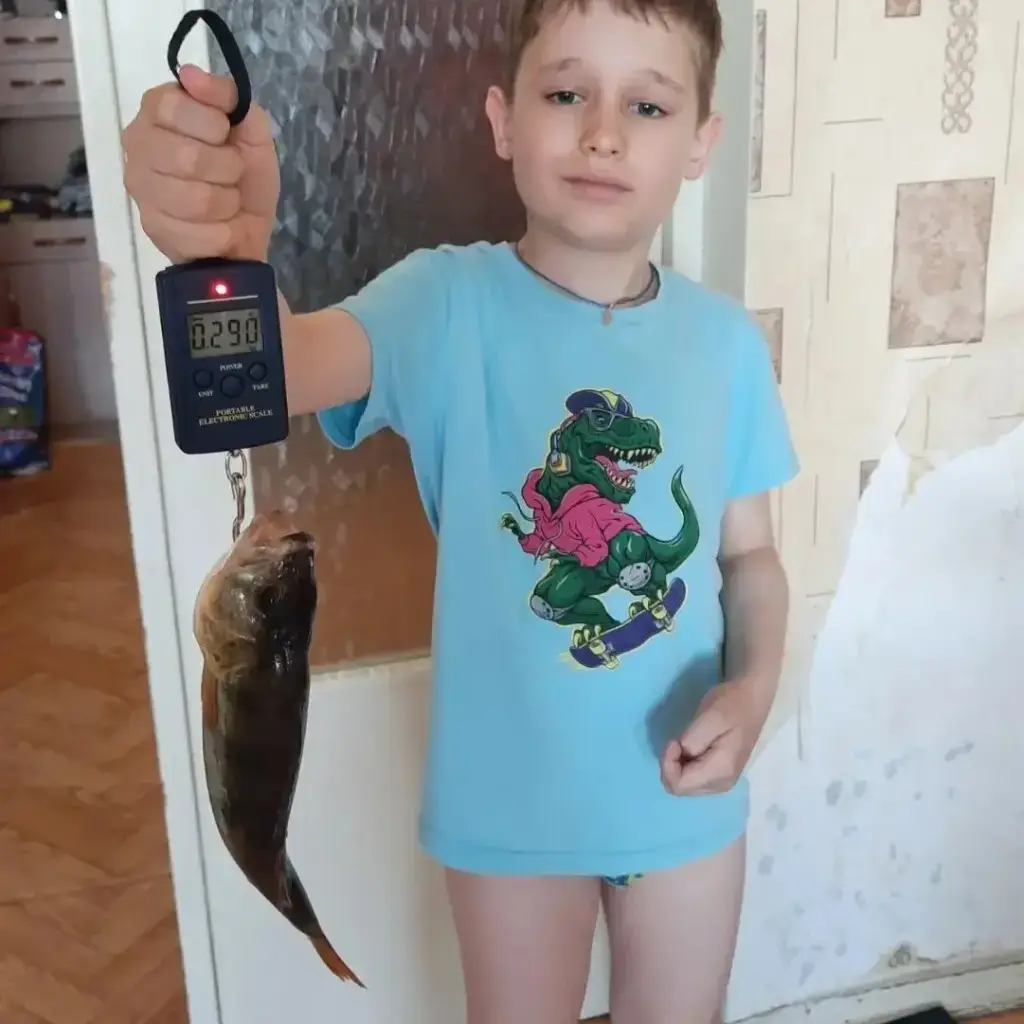 Фото из публикации 1
