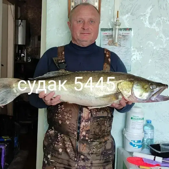 Фото из публикации 1