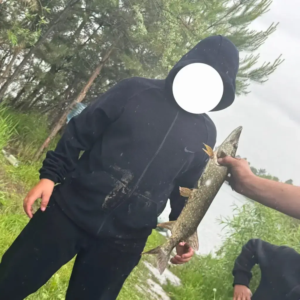 Фото из публикации 1
