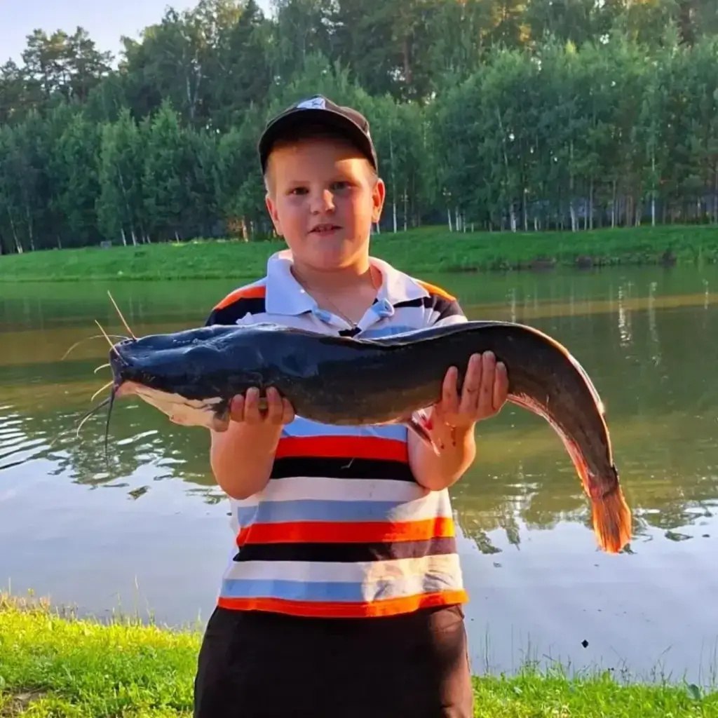 Фото из публикации 1