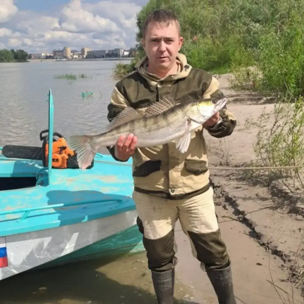 Фото из публикации 1