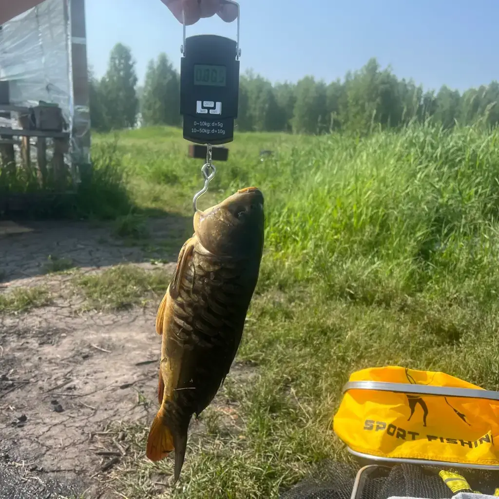 Фото из публикации 1