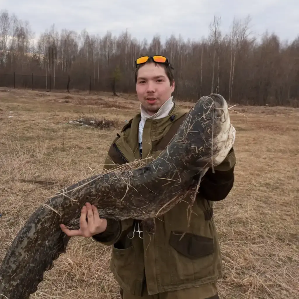 Фото из публикации 1